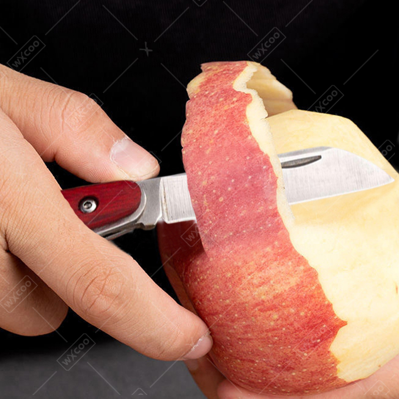 Cuchillo de bolsillo de acero  - Kitchen Gadgets You Need reseña y precio